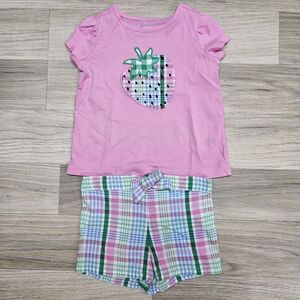 Crown & Ivy Baby Girl Pink Plaid Strawberry Outfit Size 6 Months